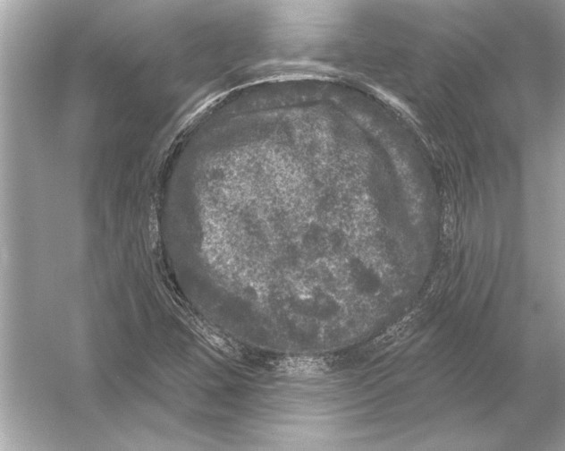 X0000051891407200507222004