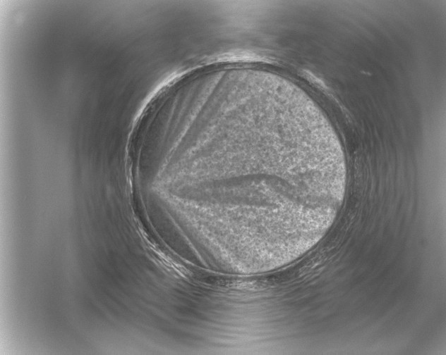 X0000051891408200507222004