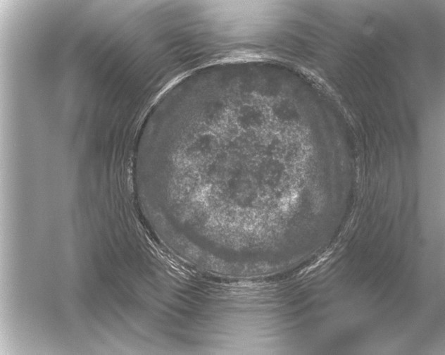 X0000051891409200507222004