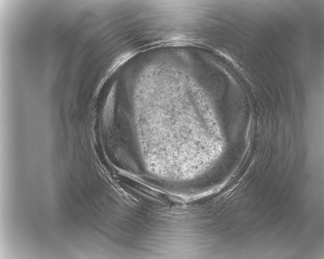 X0000051891410200507222004