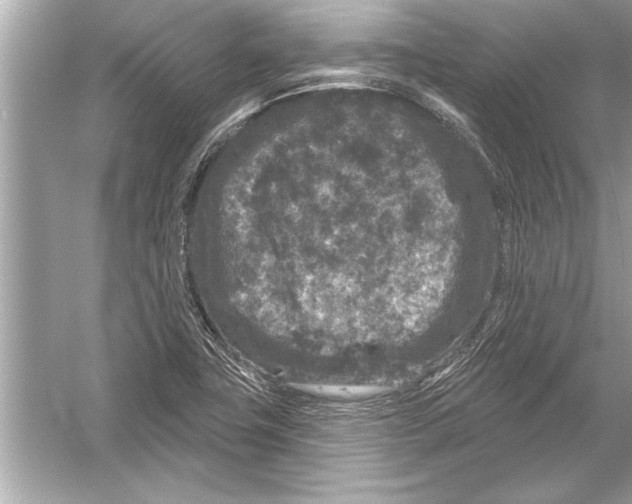 X0000051891411200507222004