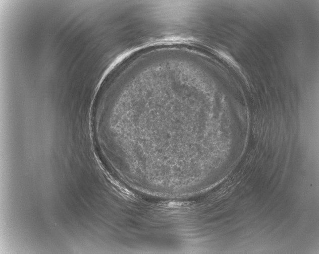 X0000051891412200507222004