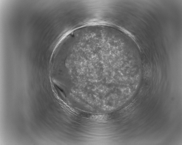 X0000051891415200507222004