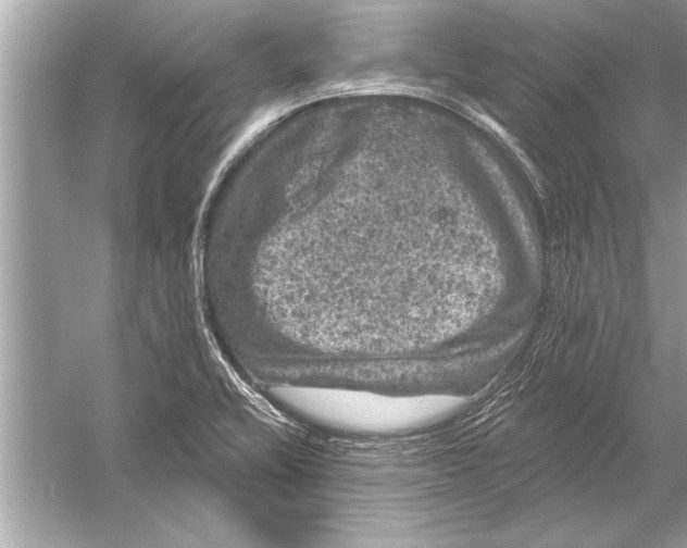 X0000051891416200507222004