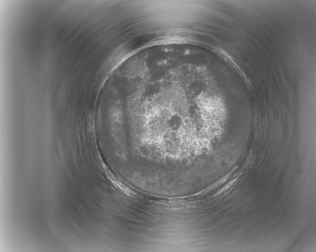 X0000051891417200507222004