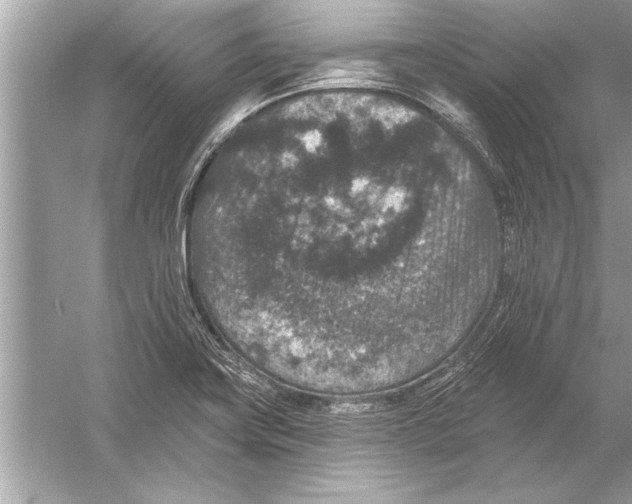 X0000051891419200507222004