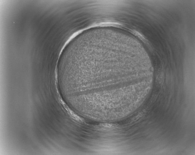 X0000051891420200507222004