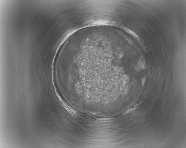 X0000051891423200507222004