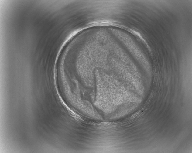 X0000051891424200507222004