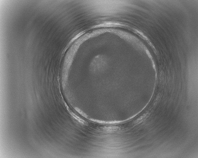 X0000051891425200507222004