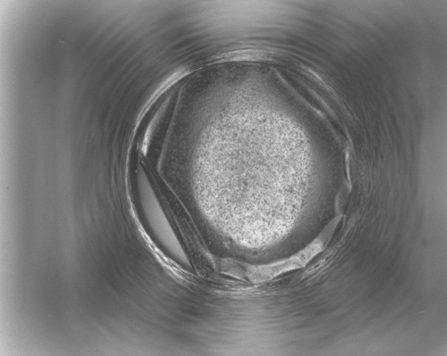 X0000051891426200507222004