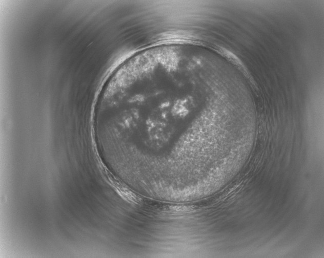 X0000051891427200507222004