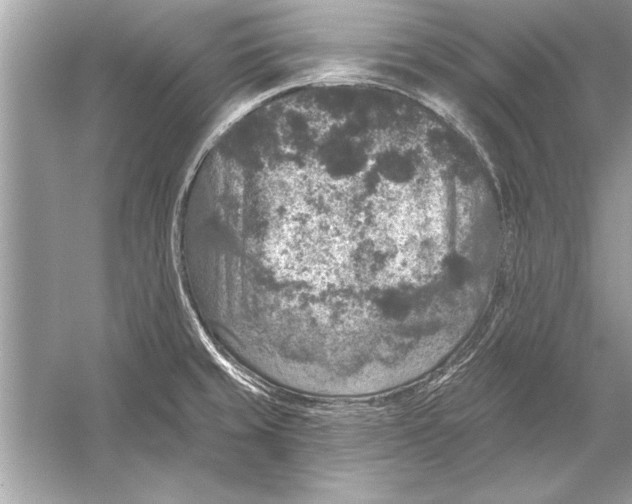 X0000051891429200507222004