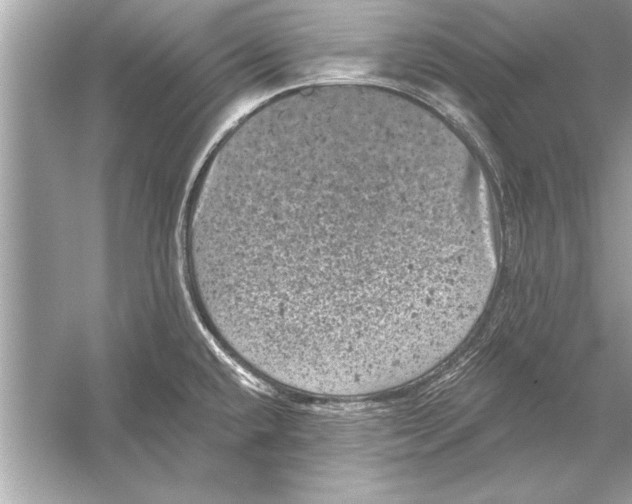 X0000051891432200507222004