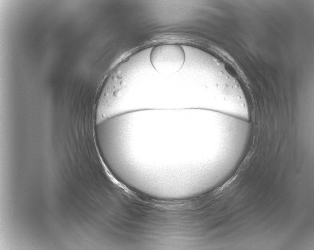 X0000051891433200507222004