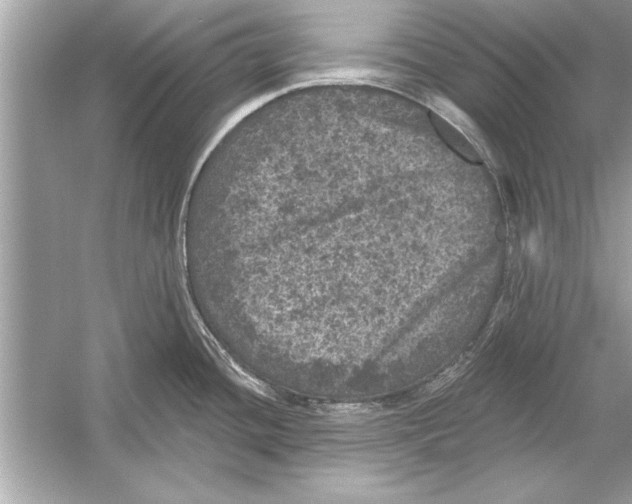 X0000051891436200507222004