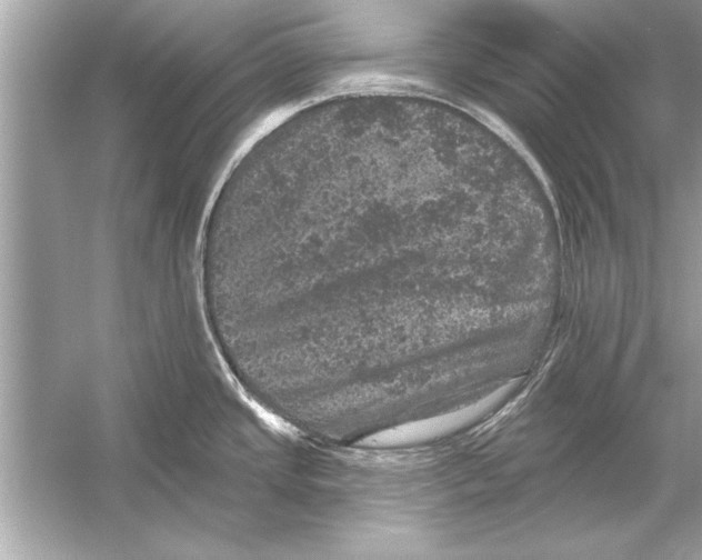 X0000051891437200507222004