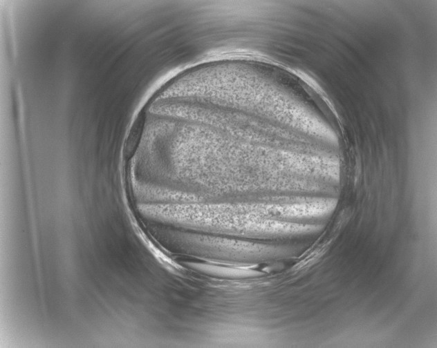 X0000051891438200507222004