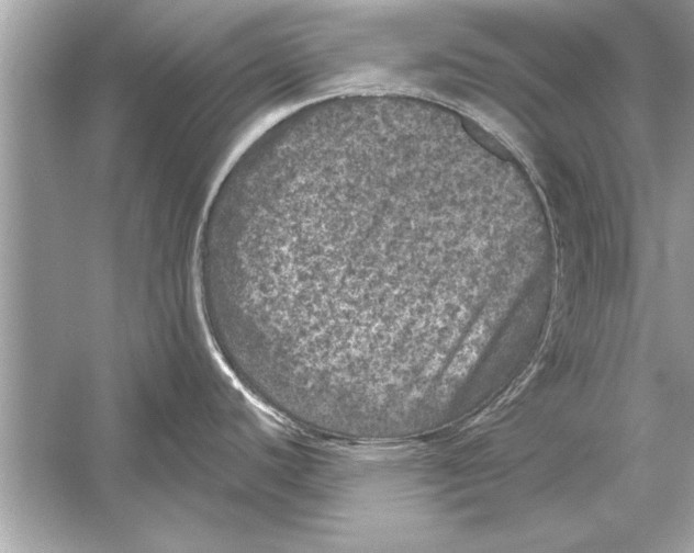 X0000051891440200507222004