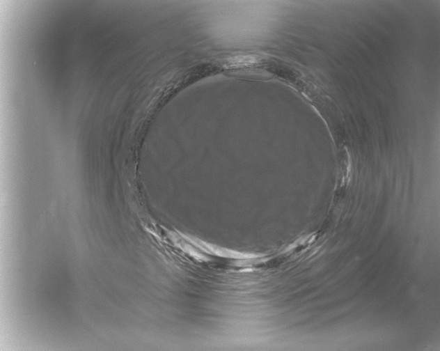 X0000051891441200507222003