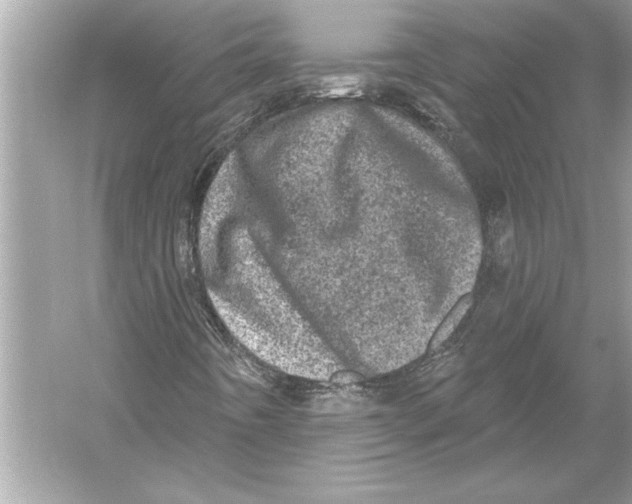 X0000051891442200507222003