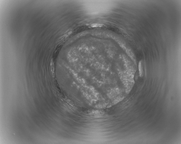 X0000051891443200507222003