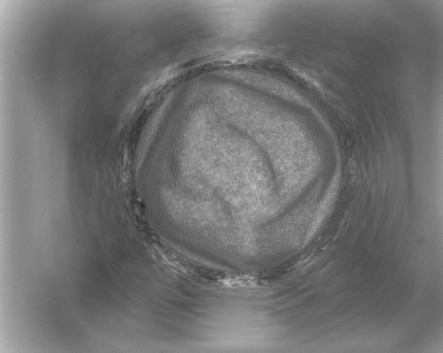 X0000051891447200507222003