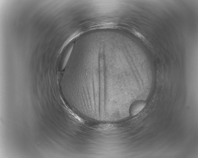 X0000051891450200507222003