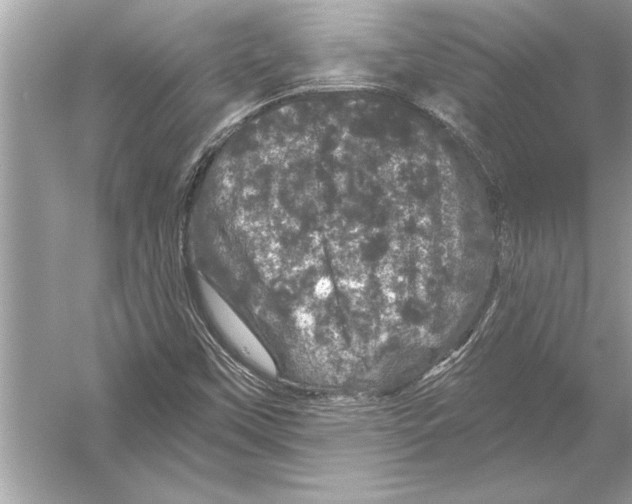 X0000051891451200507222003