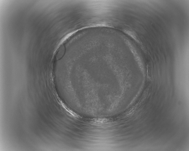 X0000051891452200507222003