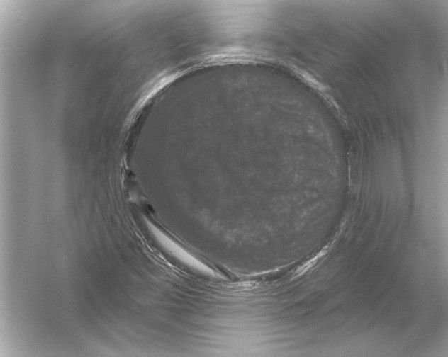 X0000051891453200507222003