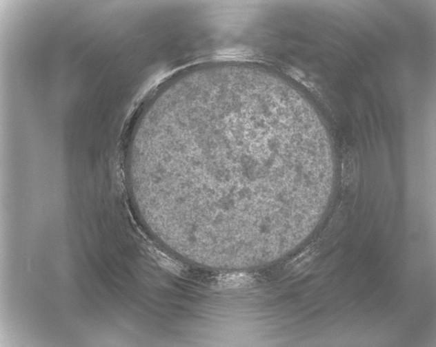 X0000051891454200507222003