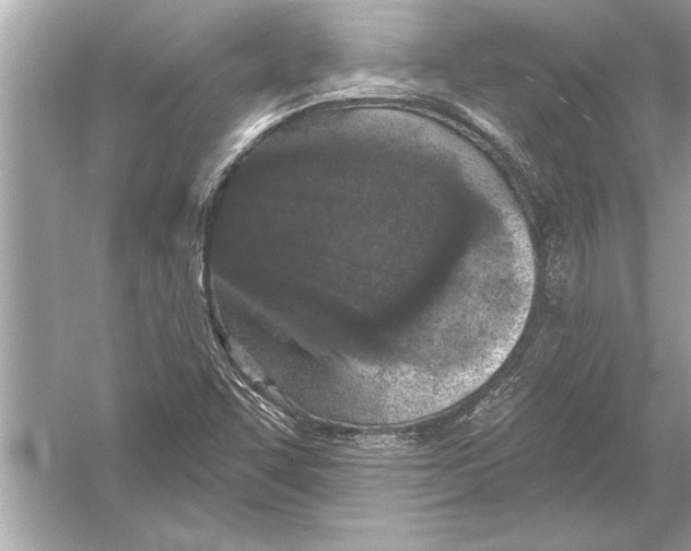 X0000051891455200507222003