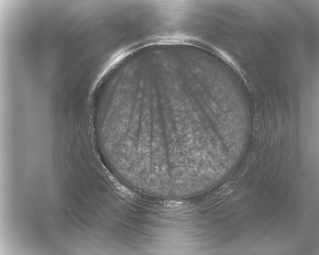 X0000051891456200507222003