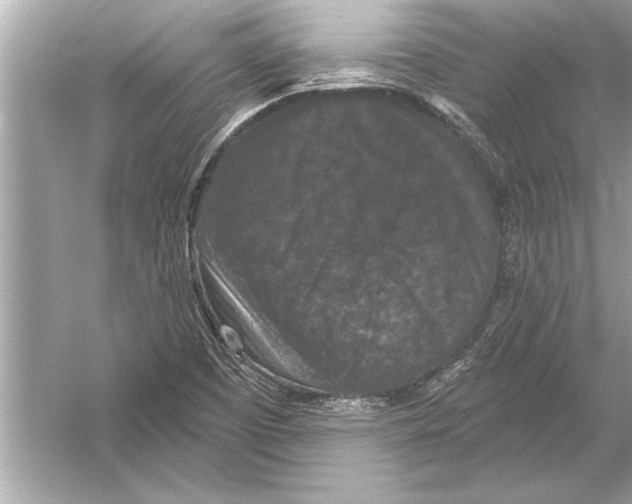 X0000051891457200507222003