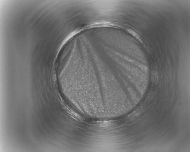 X0000051891458200507222003