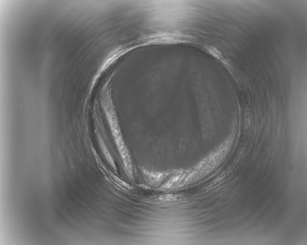 X0000051891459200507222003