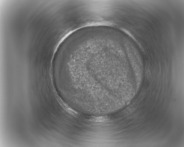 X0000051891460200507222003