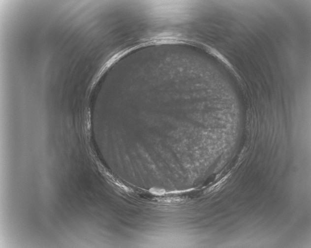 X0000051891461200507222003