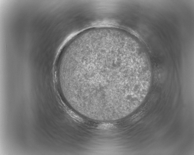 X0000051891462200507222003