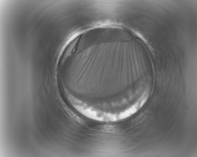 X0000051891463200507222003