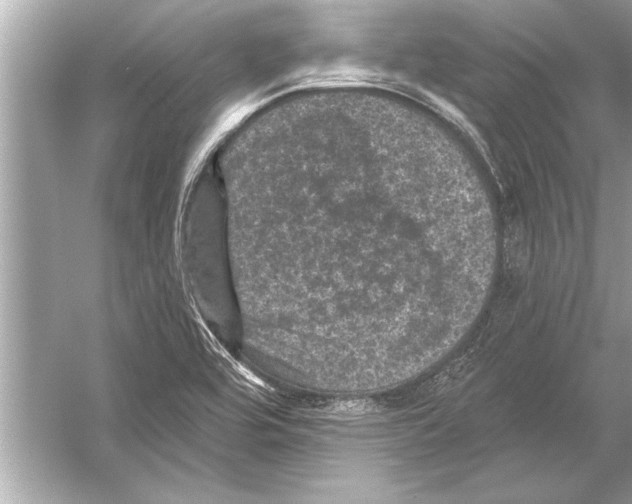 X0000051891464200507222003