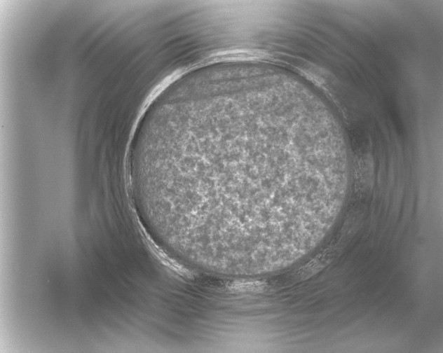 X0000051891466200507222003