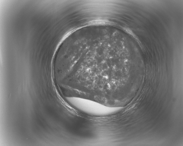 X0000051891467200507222003