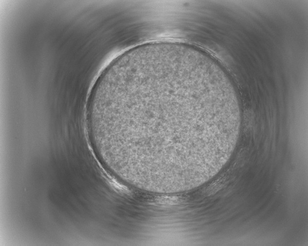 X0000051891470200507222003