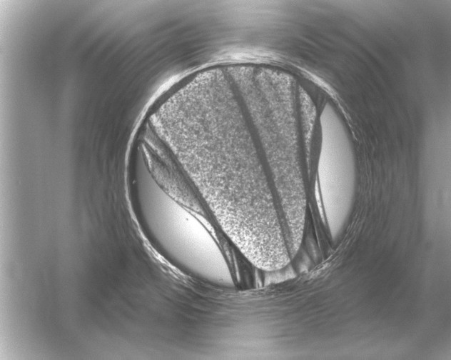 X0000051891471200507222003