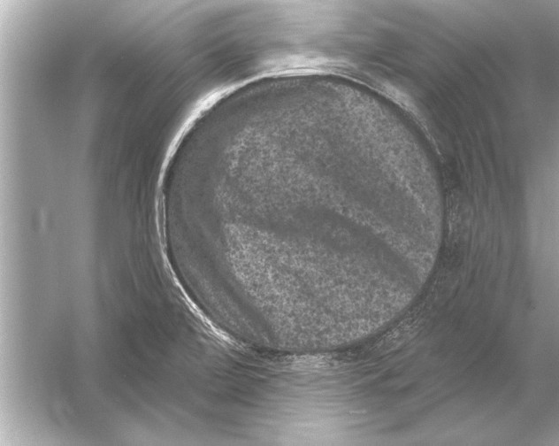 X0000051891472200507222003