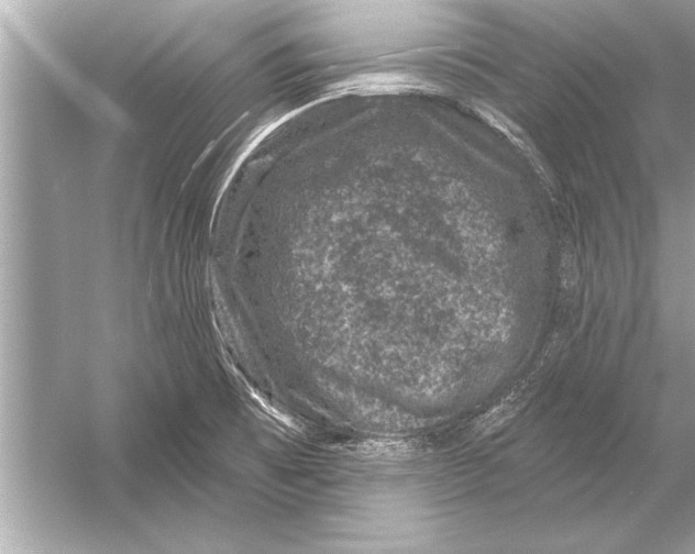 X0000051891473200507222003