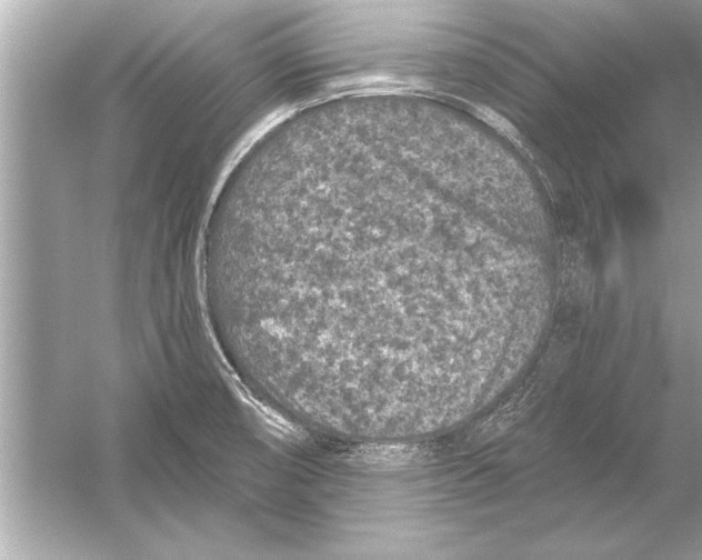 X0000051891474200507222003