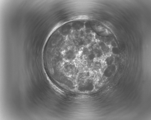 X0000051891475200507222003